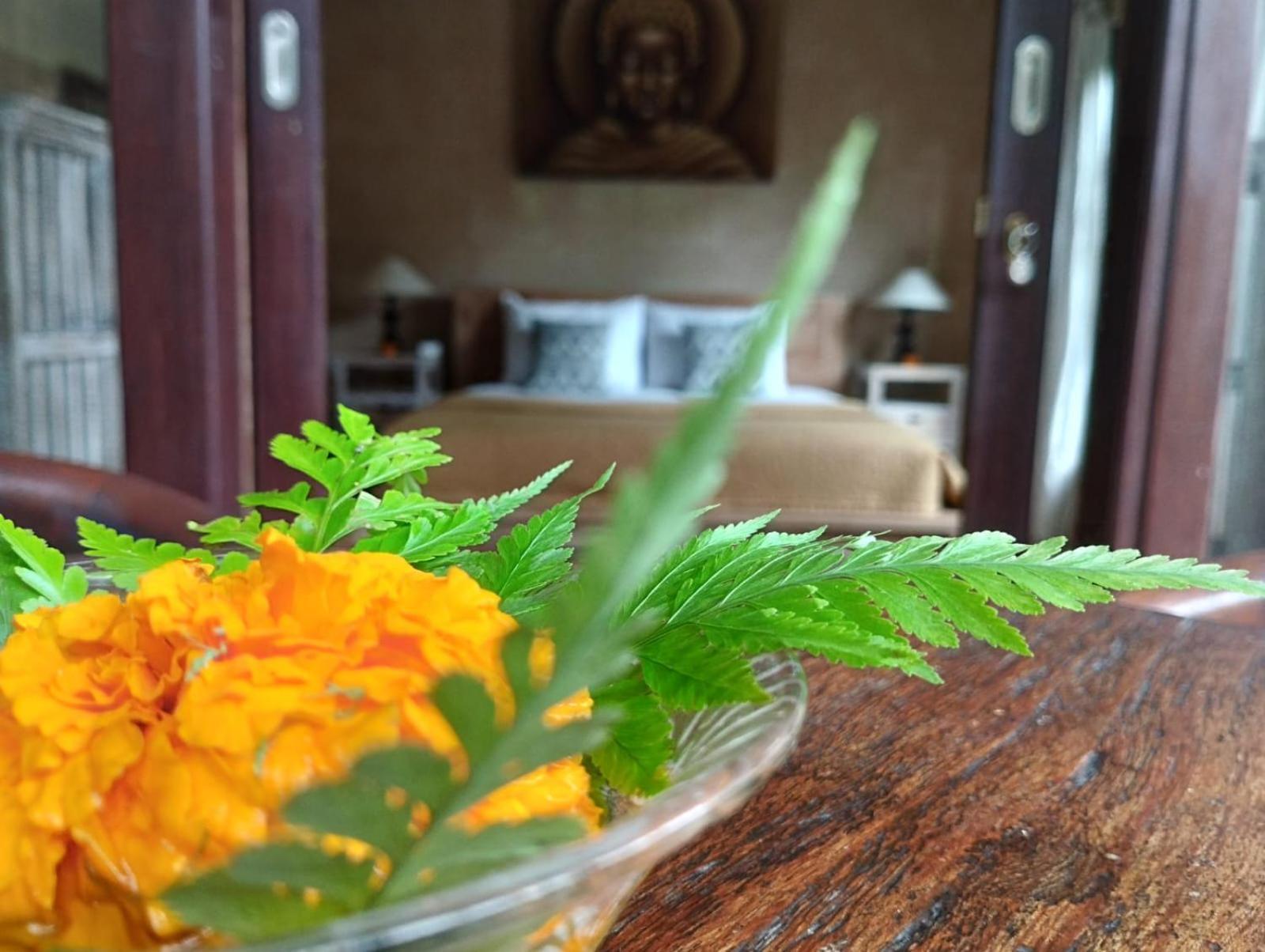 Umah Ubud Guest House Eksteriør billede